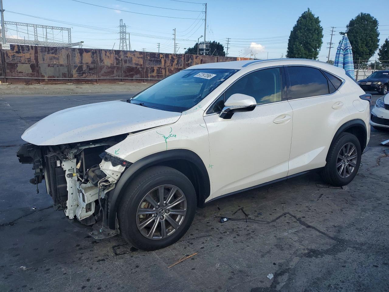 2019 LEXUS NX 300 300 Luxury