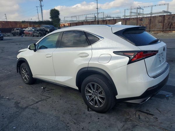 2019 LEXUS NX 300 300 Luxury