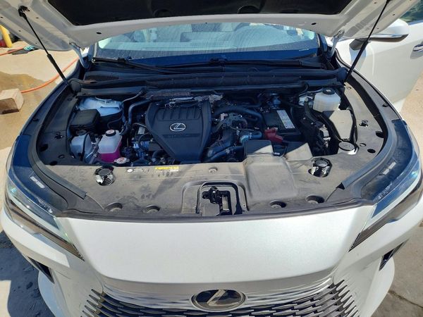 2024 LEXUS RX 350