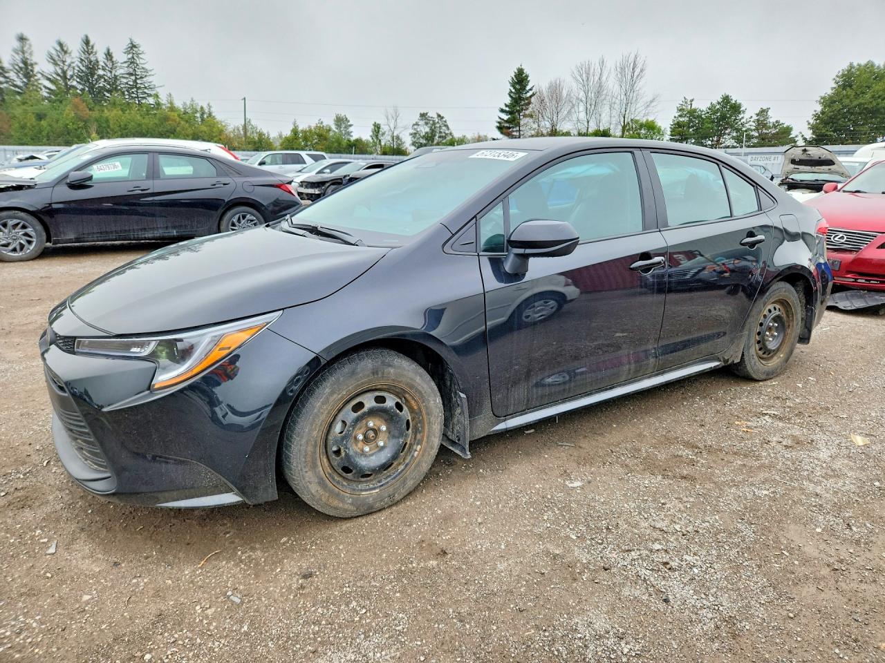 2026 TOYOTA COROLLA