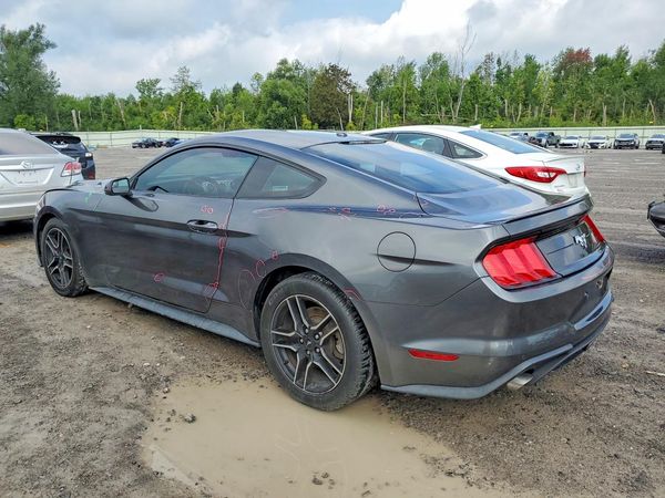2019 FORD MUSTANG I4 Coupe