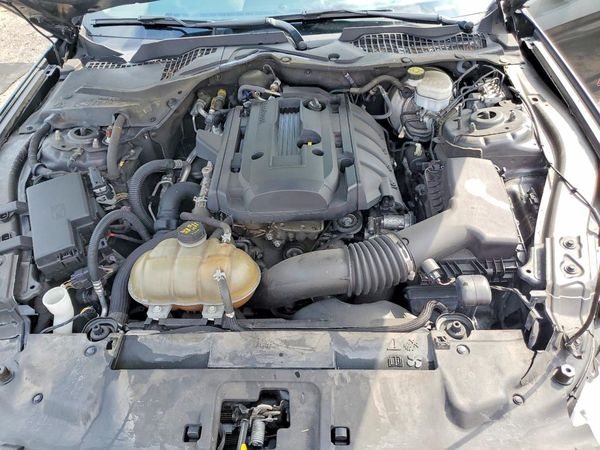 2019 FORD MUSTANG I4 Coupe