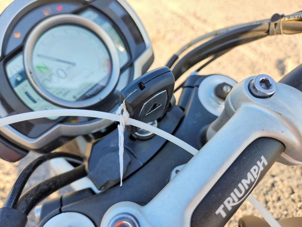2019 TRIUMPH MOTORCYCLE SCRAMBLER