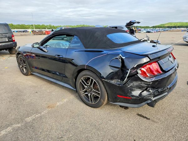 2019 FORD MUSTANG