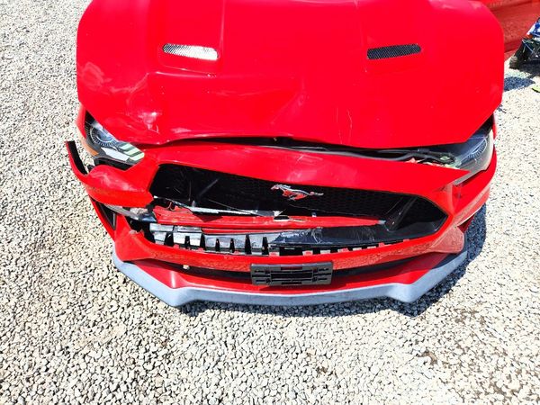 2019 FORD MUSTANG GT Coupe