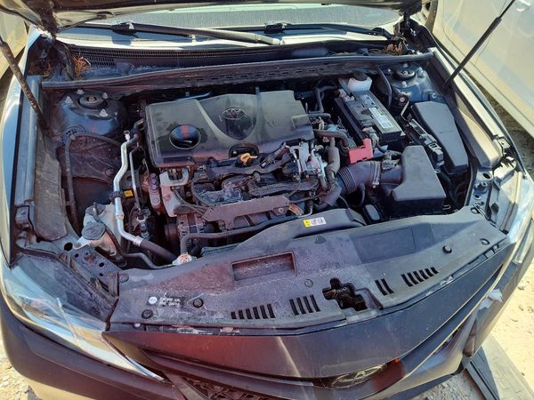 2019 TOYOTA CAMRY — Engine bay