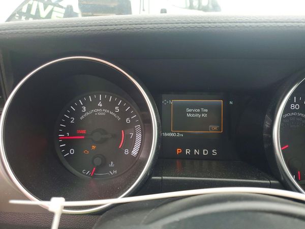 2019 FORD MUSTANG