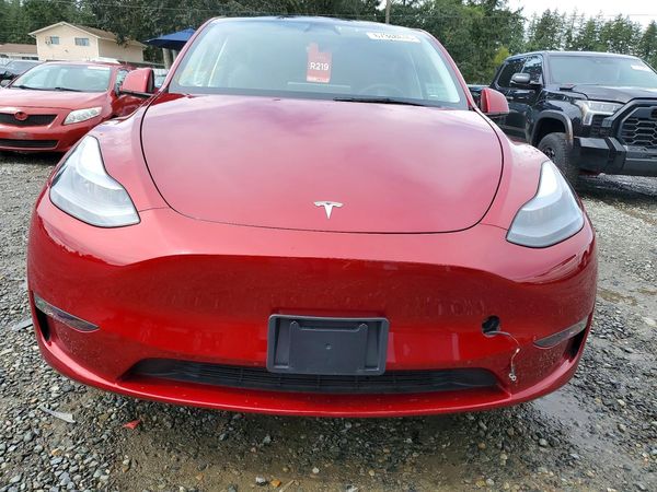 2025 TESLA MODEL Y — DIRF