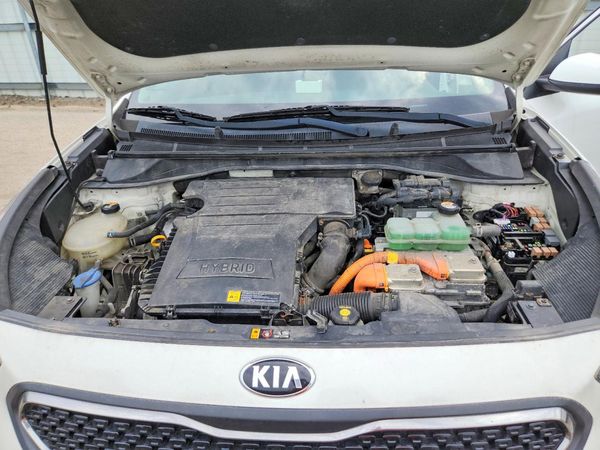 2019 KIA NIRO FE (HEV), LX (HEV)
