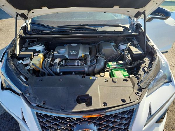 2019 LEXUS NX 300 300 Luxury
