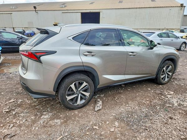 2019 LEXUS NX 300 300 Luxury