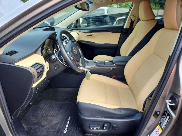 2019 LEXUS NX 300 300 Luxury