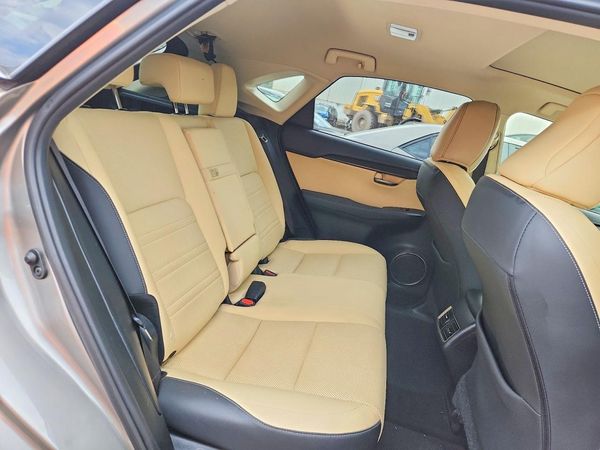 2019 LEXUS NX 300 300 Luxury