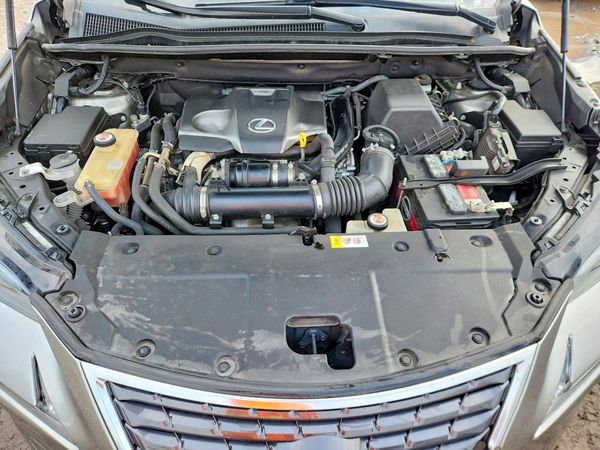 2019 LEXUS NX 300 300 Luxury