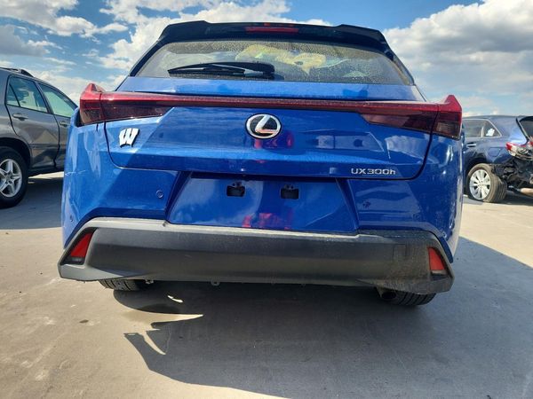 2025 LEXUS UX 300H