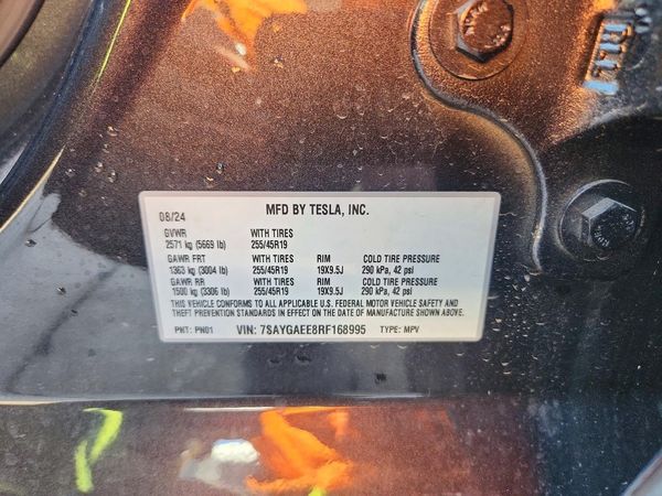 2024 TESLA MODEL Y