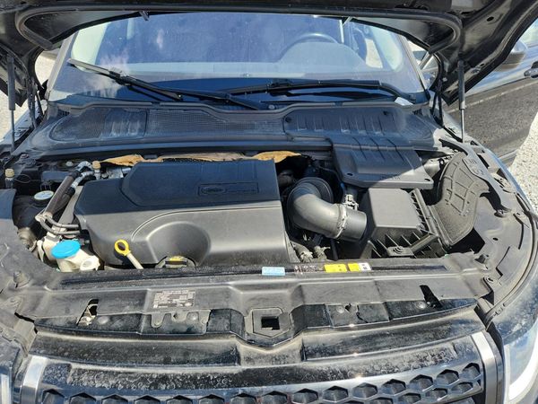 2019 LAND ROVER RANGE ROVER EVOQUE SE/SE Premium
