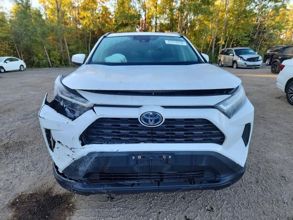 2022 TOYOTA RAV4 XLE — DIRF