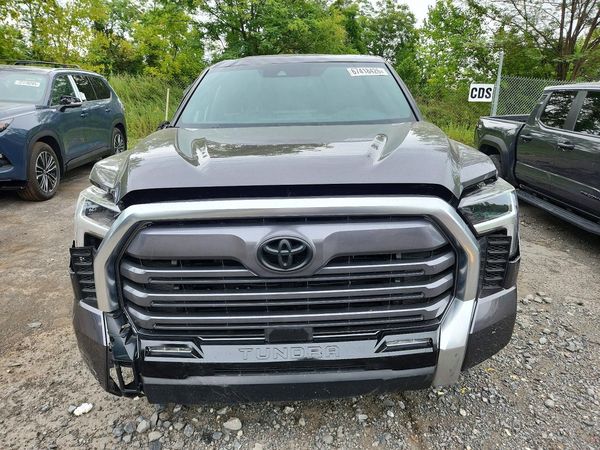 2025 TOYOTA TUNDRA Limited — DIRF