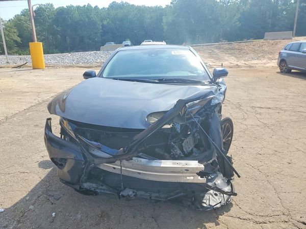 2019 TOYOTA CAMRY L/LE/SE/XLE — DIRF