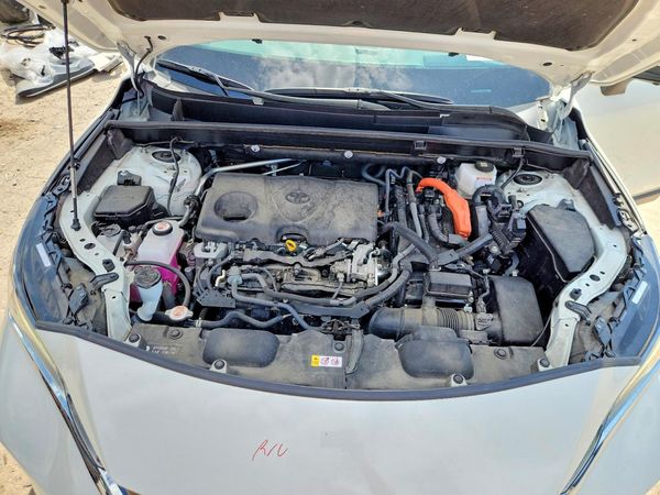 2021 TOYOTA VENZA