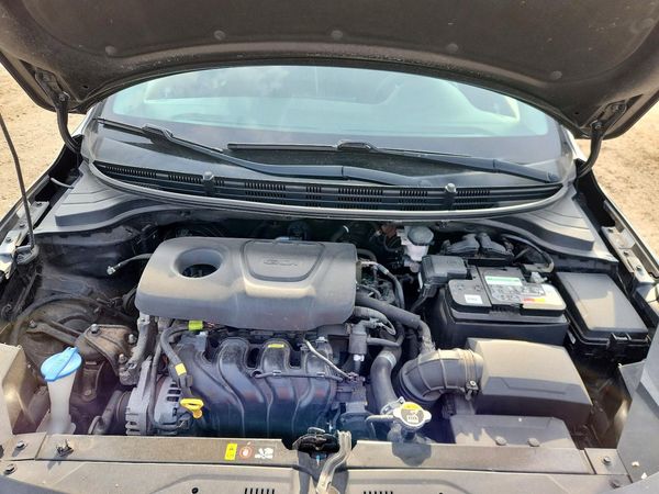 2019 KIA RIO