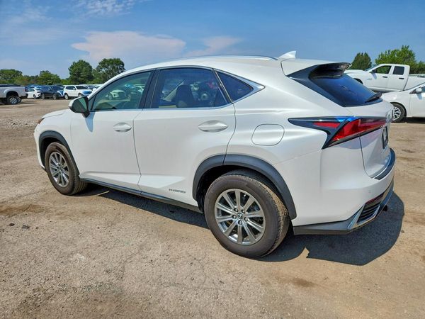2019 LEXUS NX 300H Luxury