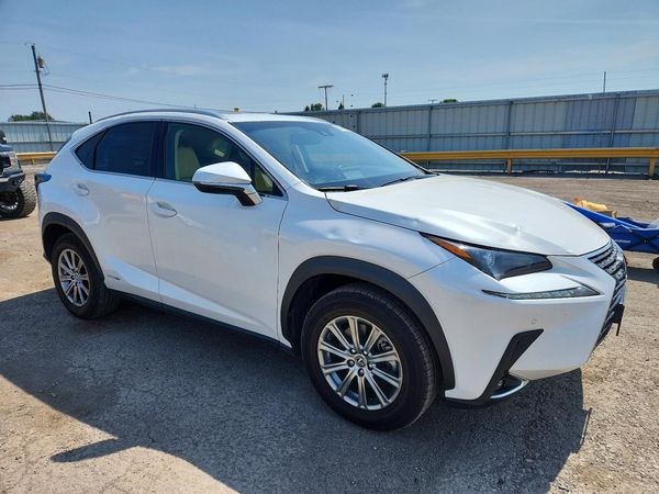 2019 LEXUS NX 300H Luxury