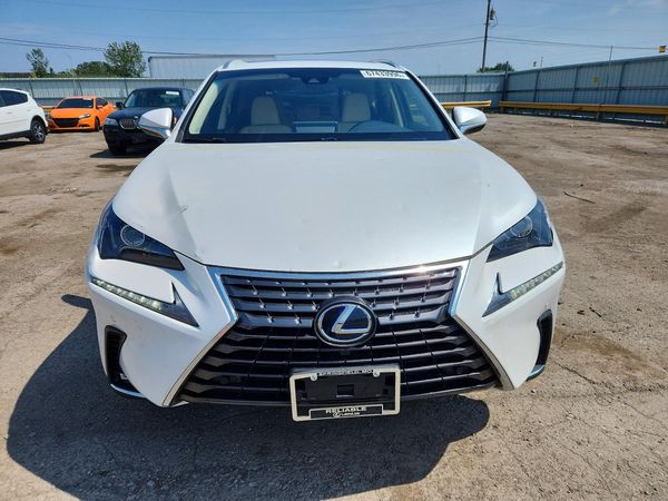 2019 LEXUS NX 300H Luxury