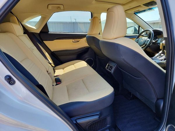 2019 LEXUS NX 300H Luxury