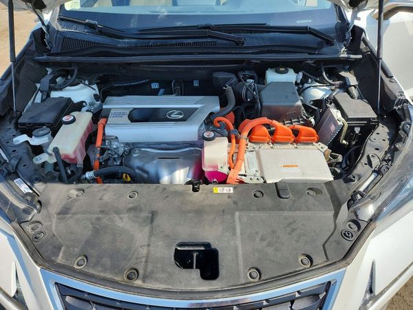 2019 LEXUS NX 300H Luxury