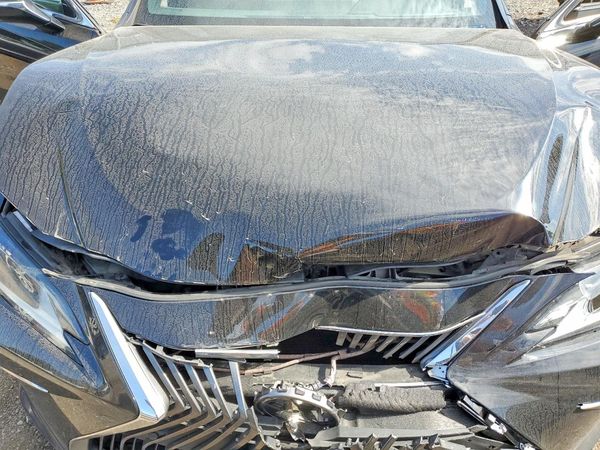 2019 LEXUS ES 350