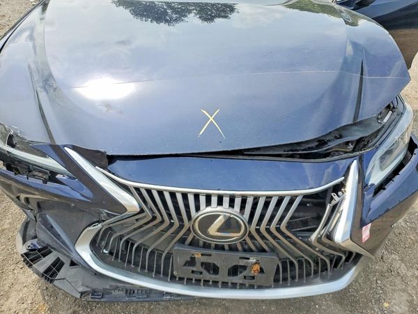 2019 LEXUS ES