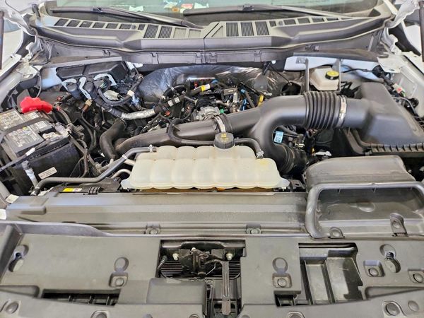 2025 FORD F150 XL