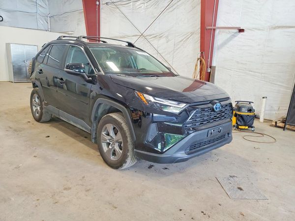 2024 TOYOTA RAV4 XLE