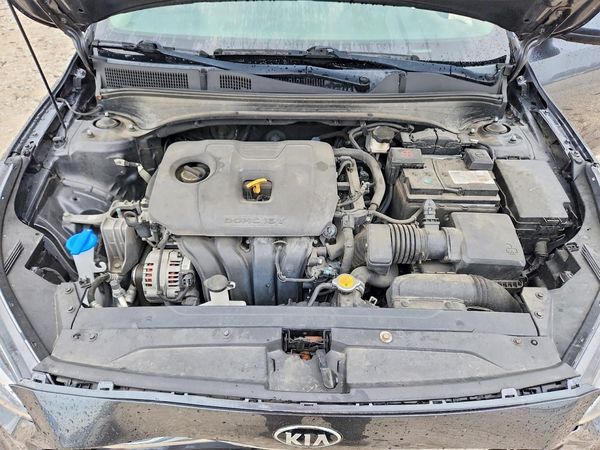2019 KIA FORTE FE/LX/LXS