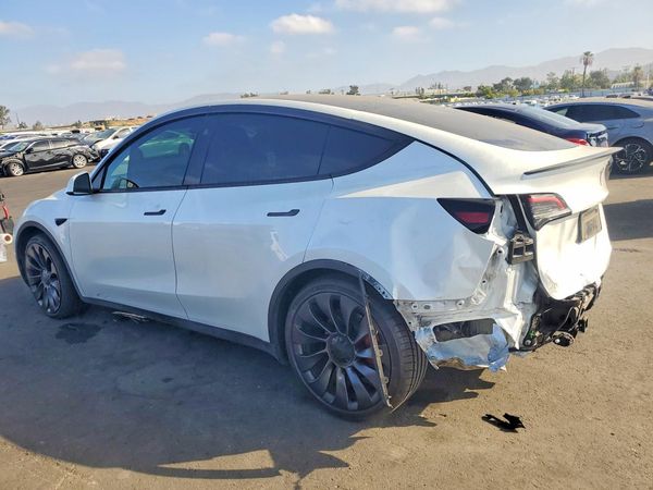 2025 TESLA MODEL Y