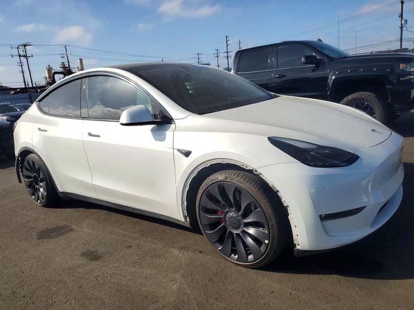 2025 TESLA MODEL Y