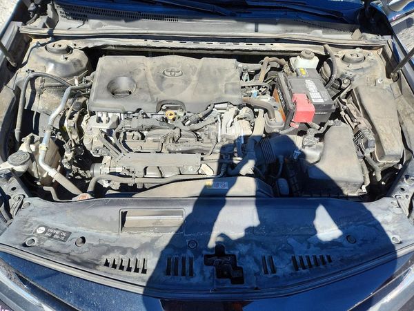2019 TOYOTA CAMRY L/LE/SE/XLE