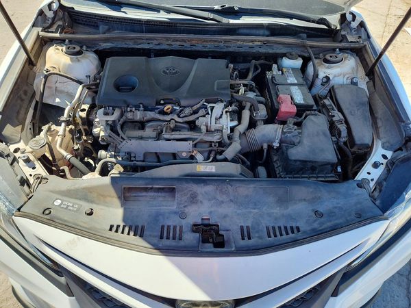 2019 TOYOTA CAMRY L/LE/SE/XLE