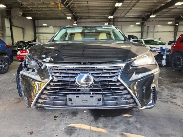 2018 LEXUS NX 300 300 Luxury — DIRF