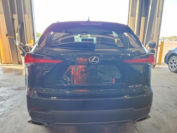 2018 LEXUS NX 300 300 Luxury — DIRR