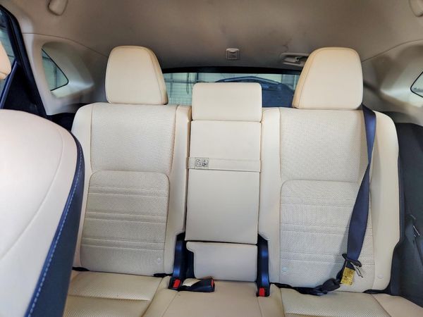 2018 LEXUS NX 300 300 Luxury — SUVN