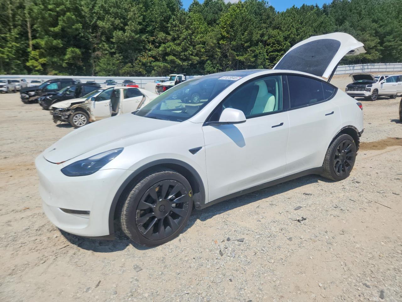 2023 TESLA MODEL Y