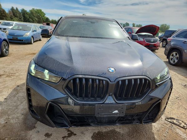 2024 BMW X6