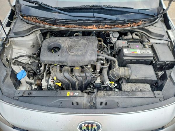 2019 KIA RIO
