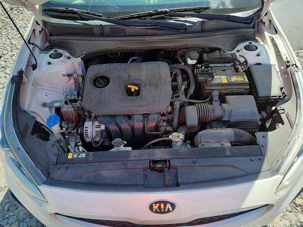 2019 KIA FORTE