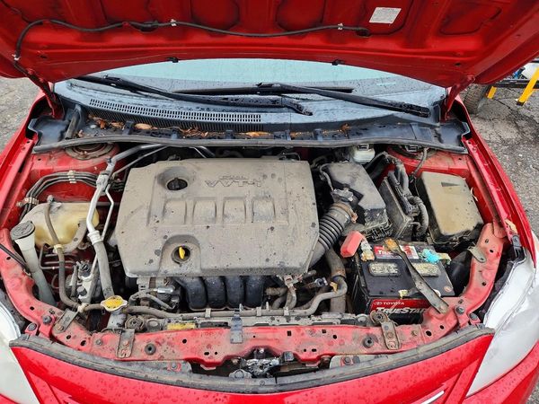 2013 TOYOTA COROLLA