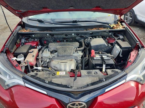 2018 TOYOTA RAV4 Adventure/XLE