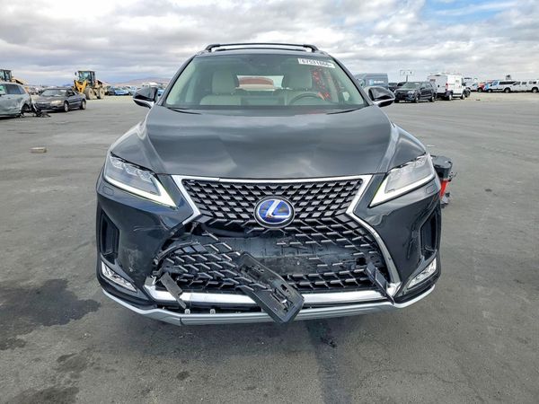 2020 LEXUS RX 450hL Luxury